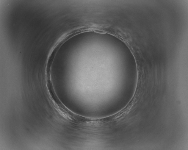 X0000074000102200608211424