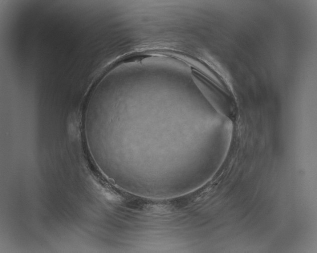 X0000074000107200608211424