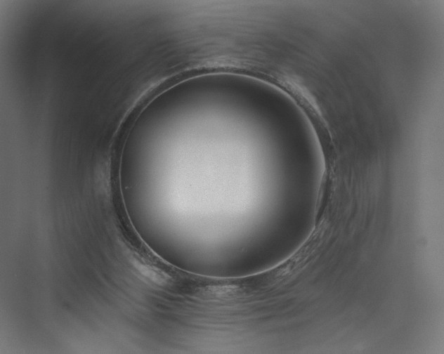 X0000074000108200608211424