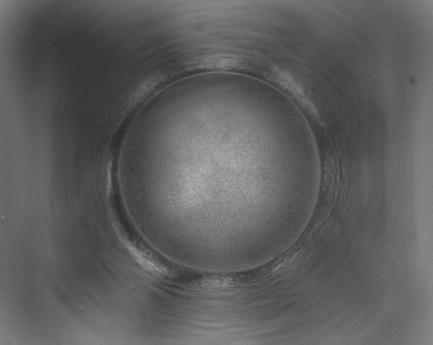 X0000074000110200608211424