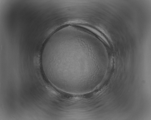 X0000074000111200608211424