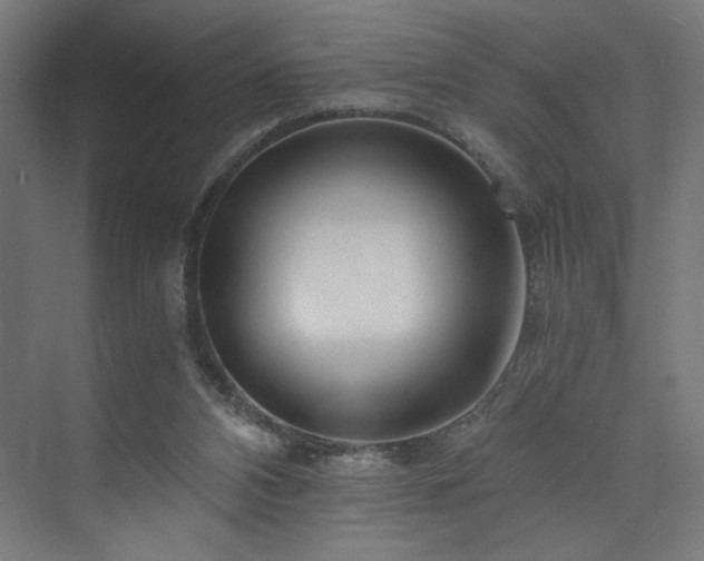 X0000074000112200608211424