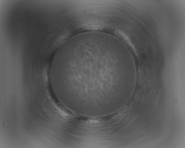 X0000074000114200608211424