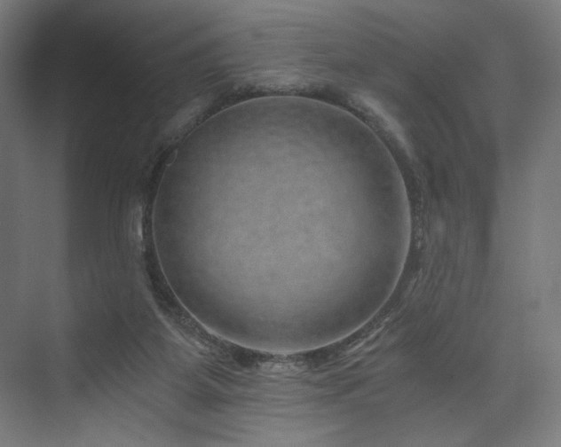 X0000074000115200608211424