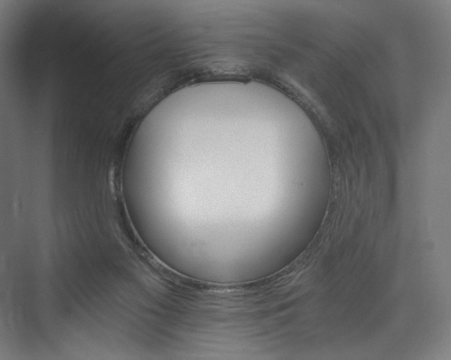 X0000074000117200608211424
