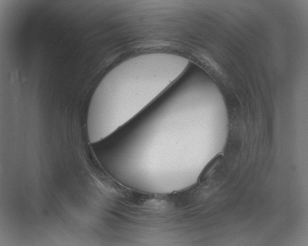 X0000074000119200608211424