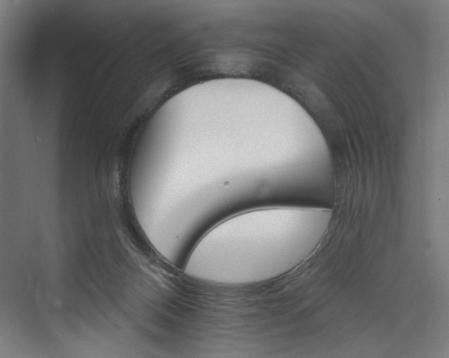 X0000074000120200608211424