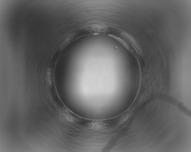 X0000074000121200608211424