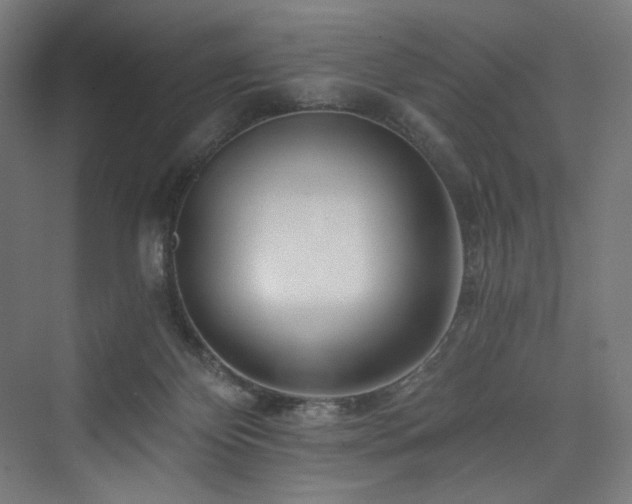 X0000074000124200608211424