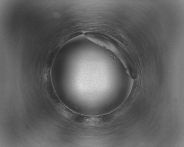 X0000074000125200608211424