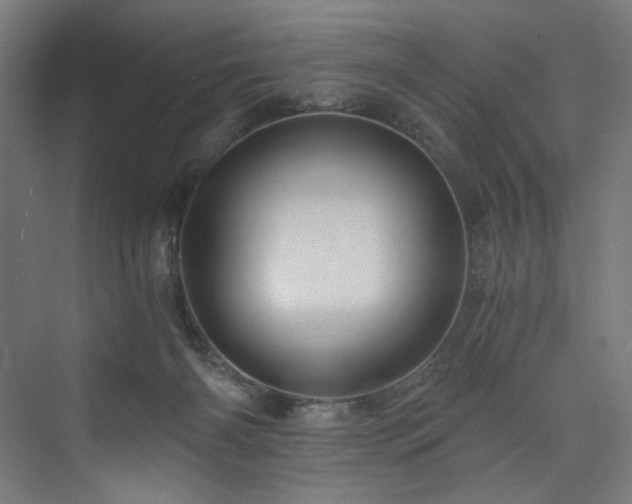 X0000074000126200608211424