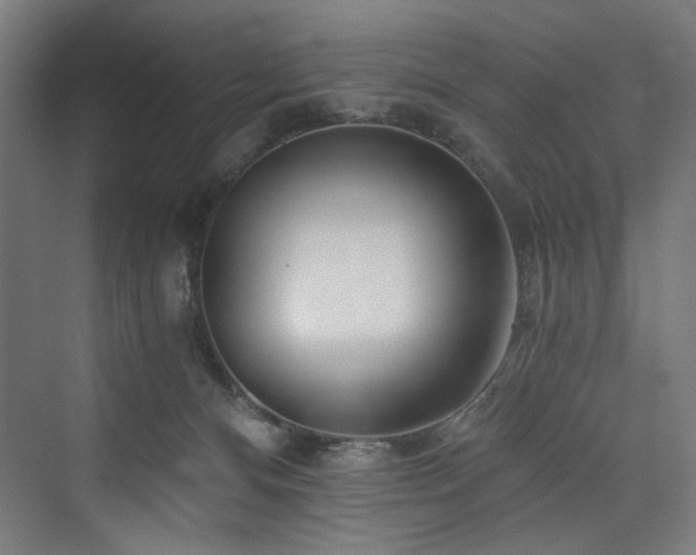 X0000074000128200608211424