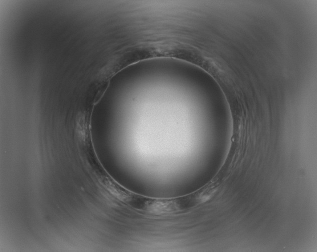 X0000074000129200608211424
