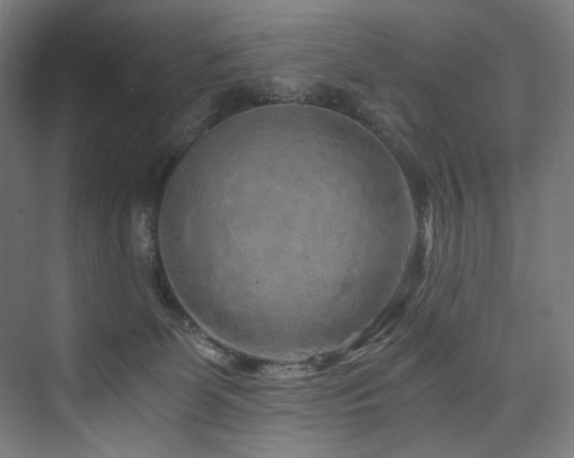 X0000074000131200608211424