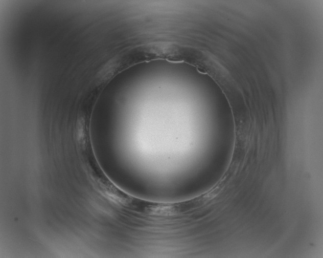X0000074000132200608211424