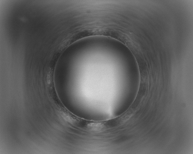 X0000074000133200608211424