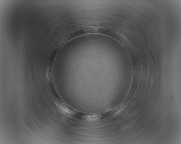 X0000074000134200608211424