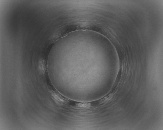 X0000074000135200608211424