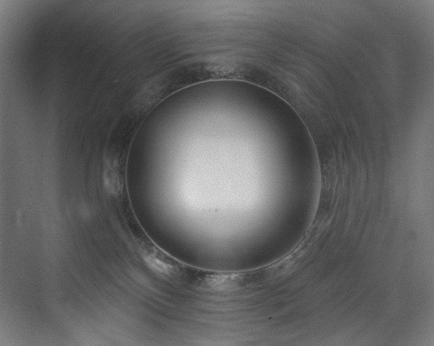 X0000074000136200608211424