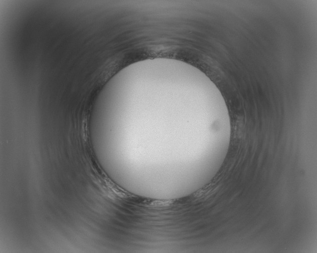 X0000074000138200608211424