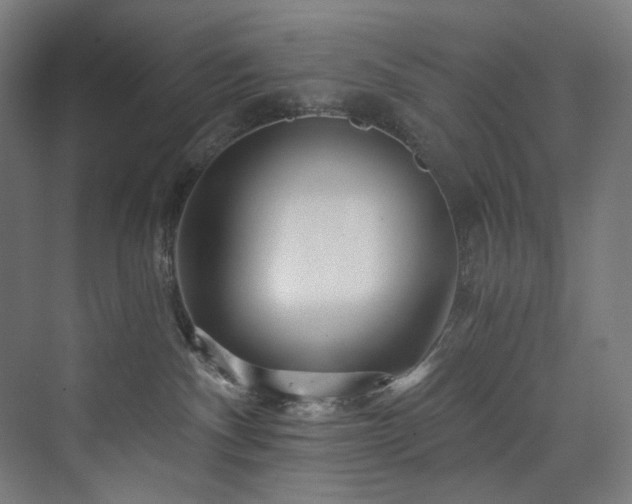 X0000074000140200608211423