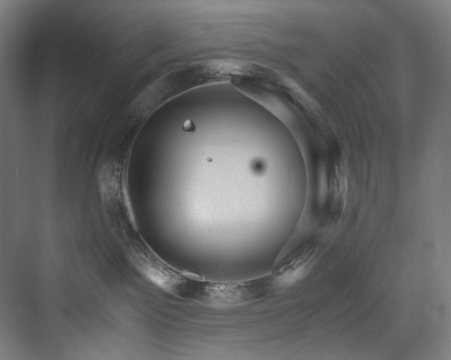 X0000074000141200608211423