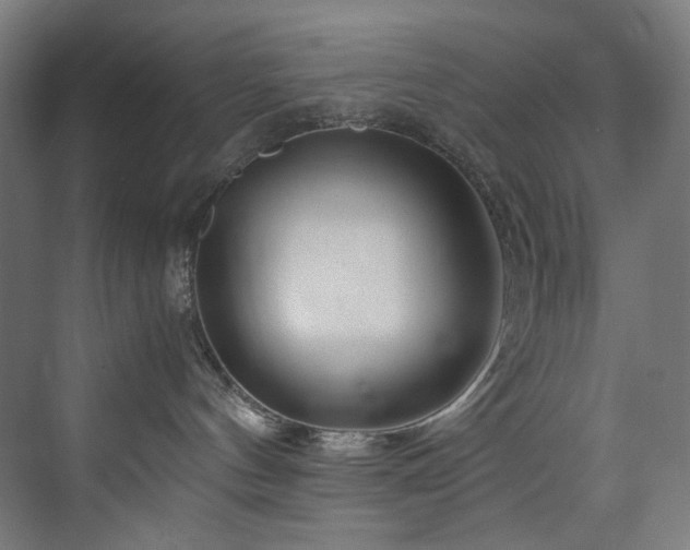 X0000074000144200608211423
