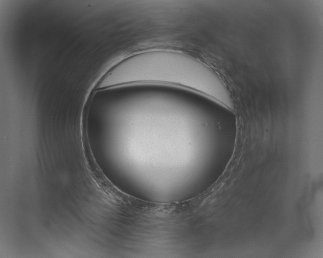 X0000074000148200608211423