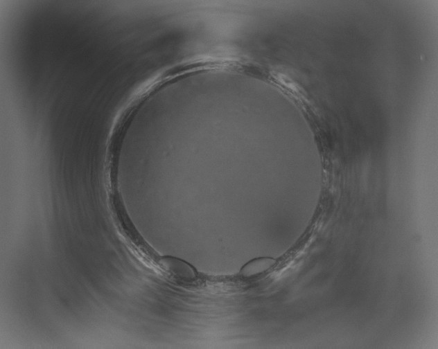 X0000074000149200608211423
