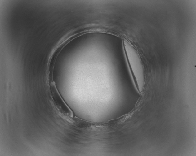 X0000074000150200608211423