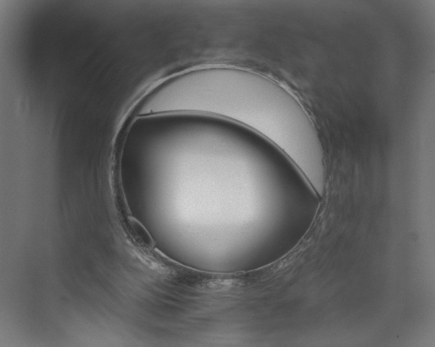 X0000074000152200608211423