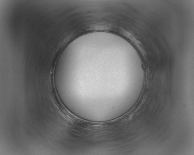 X0000074000153200608211423
