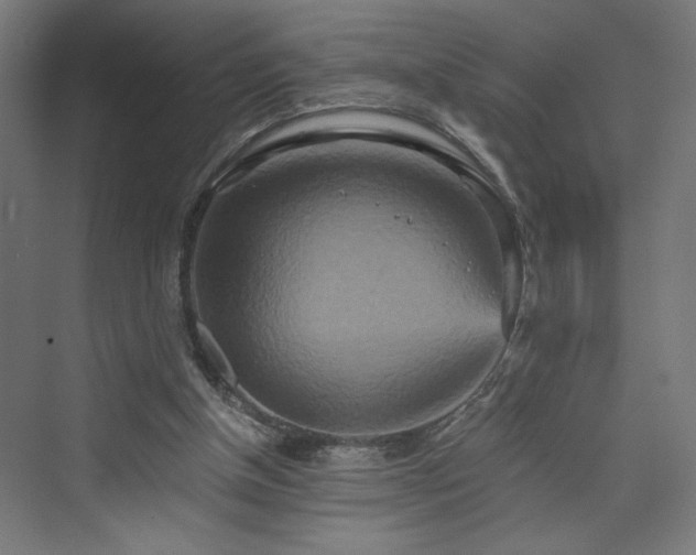 X0000074000154200608211423