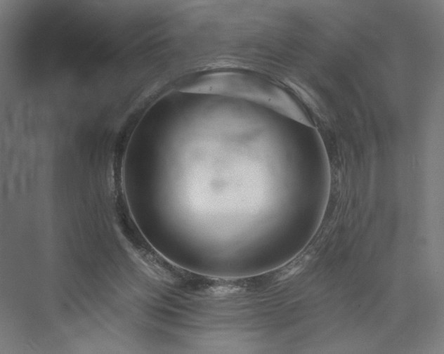 X0000074000158200608211423