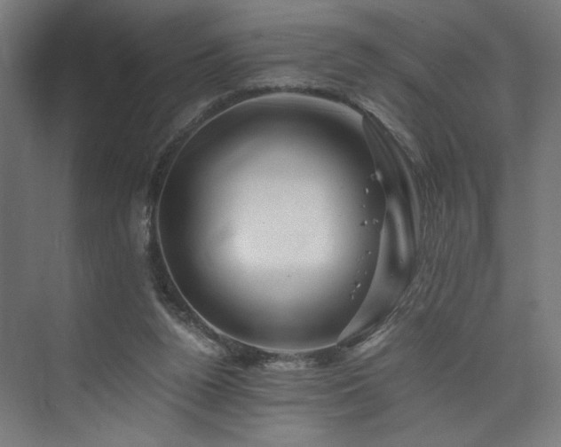 X0000074000160200608211423