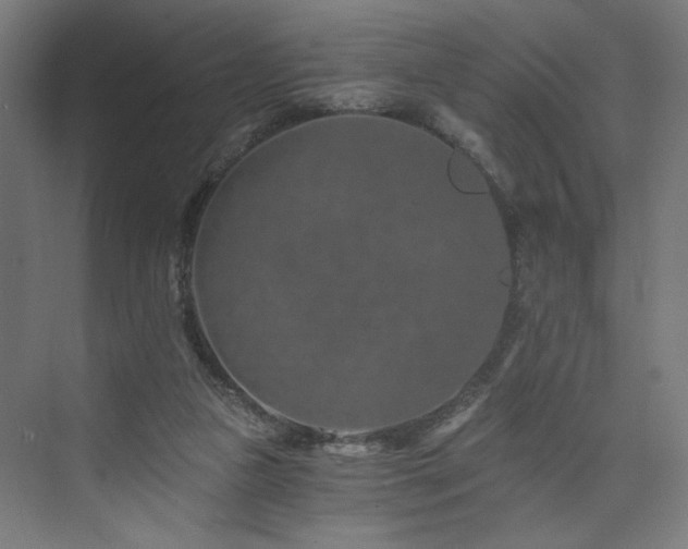 X0000074000161200608211423