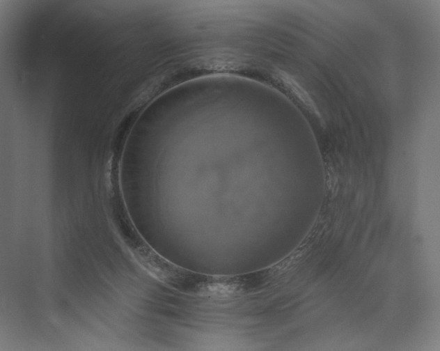 X0000074000163200608211423