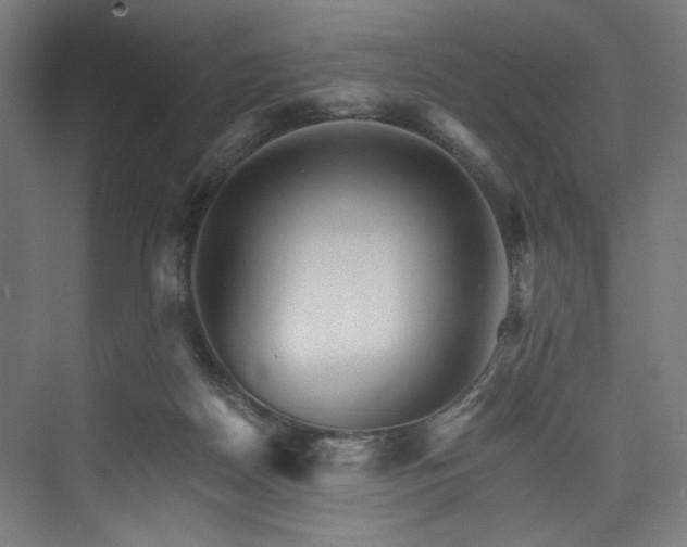 X0000074000170200608211423