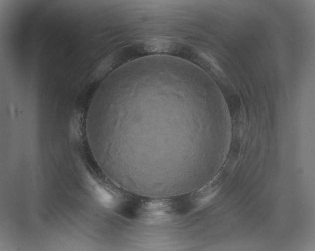 X0000074000171200608211423