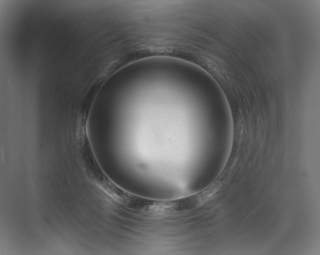 X0000074000172200608211423
