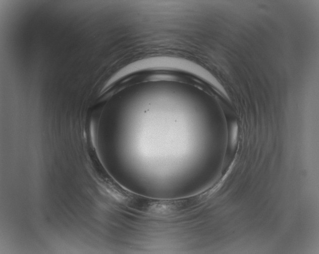 X0000074000174200608211423