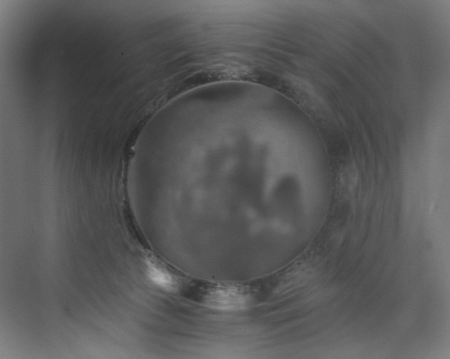 X0000074000177200608211423