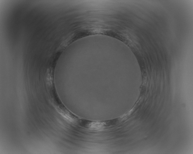 X0000074000179200608211423