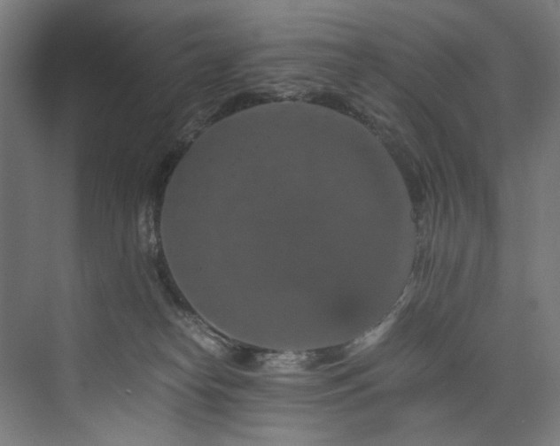 X0000074000182200608211423