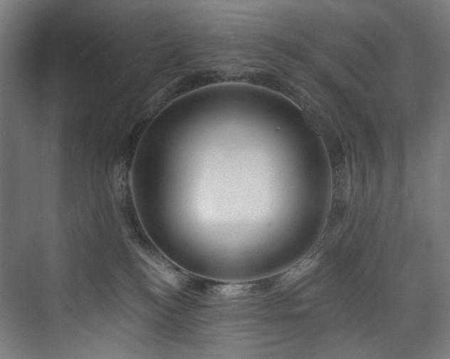 X0000074000184200608211423
