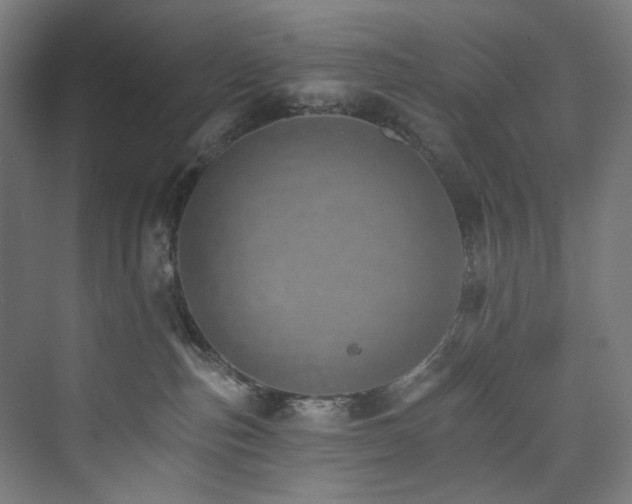 X0000074000187200608211423