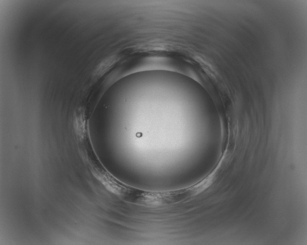 X0000074000190200608211423