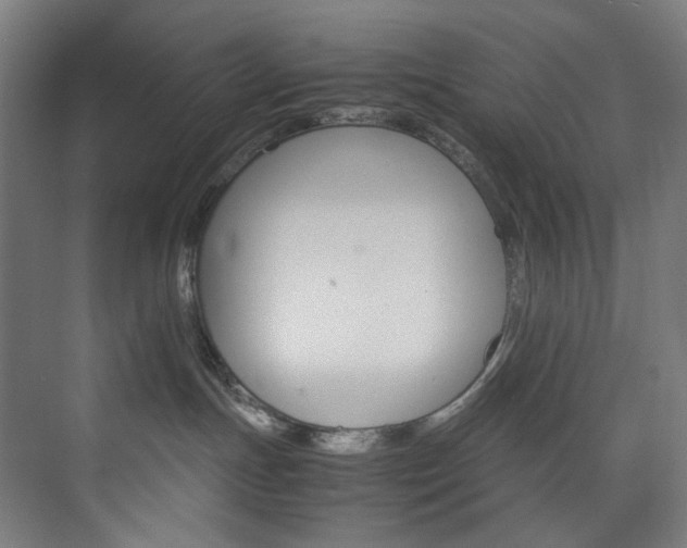 X0000074000191200608211423