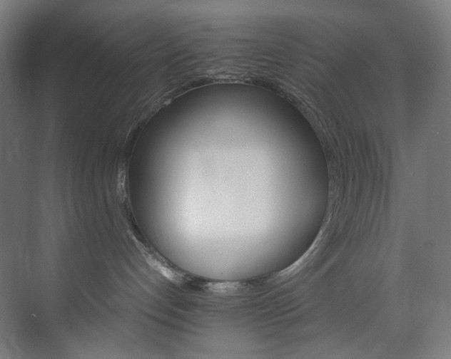 X0000074000192200608211423