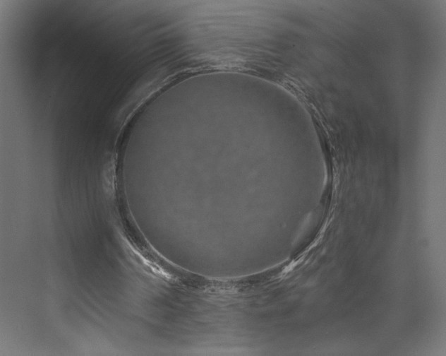X0000074000194200608211423